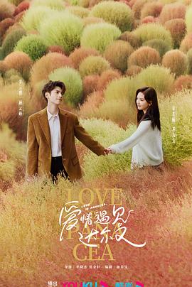 福州seo优化思路